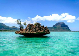 A l’occasion du 53eme anniversaire de l’indépendance de l’ile Maurice, nous tenons à vous dresser le portrait de cet état insulaire pivot de l’océan indien.